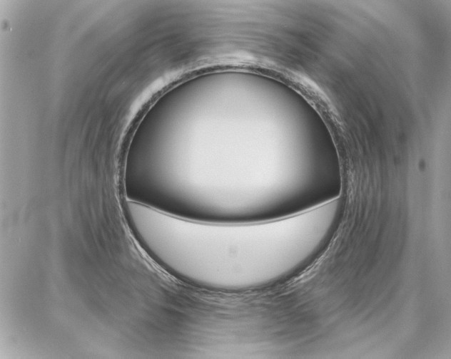 X0000087001326200704161215