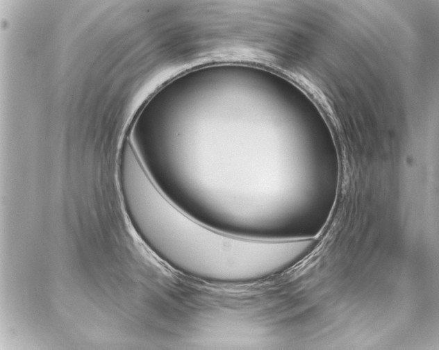 X0000087001342200704161215