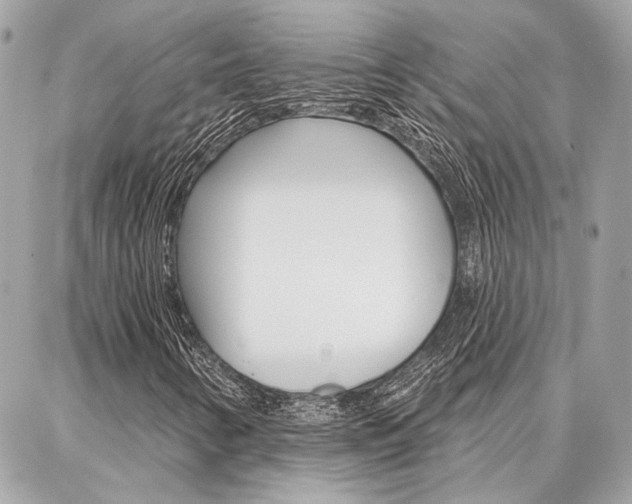X0000087001346200704161215