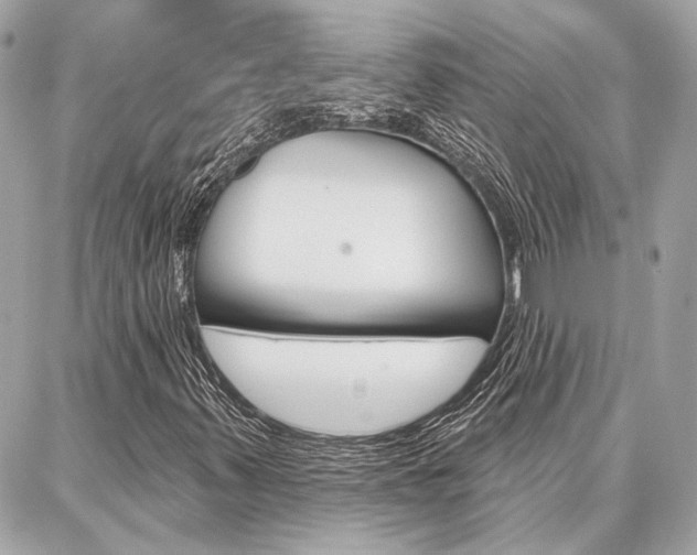 X0000087001347200704161215