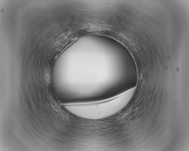 X0000087001348200704161214