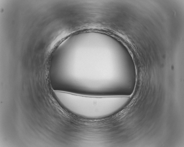 X0000087001359200704161214