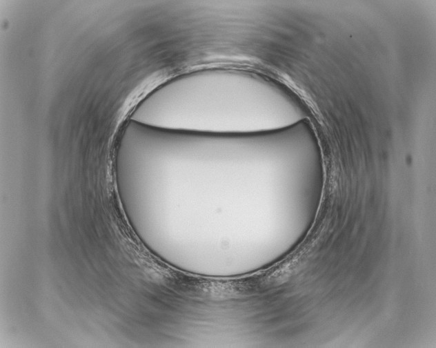 X0000087001362200704161214