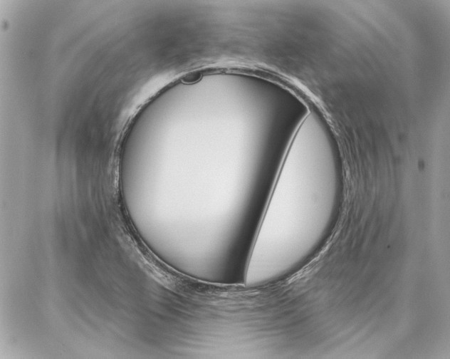 X0000087001367200704161214