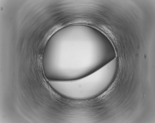 X0000087001369200704161214