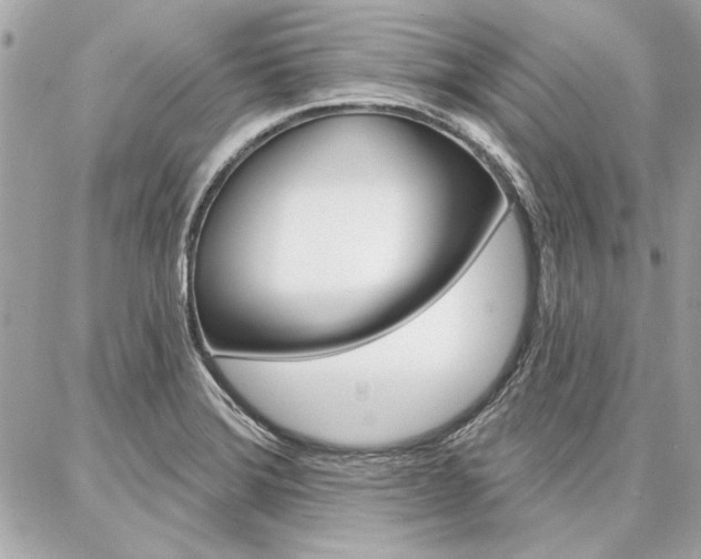 X0000087001372200704161214
