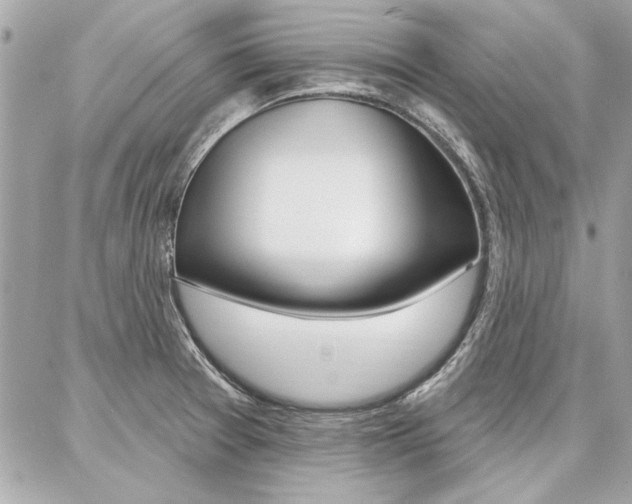X0000087001377200704161214