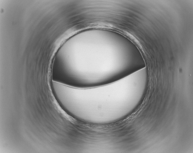 X0000087001379200704161214