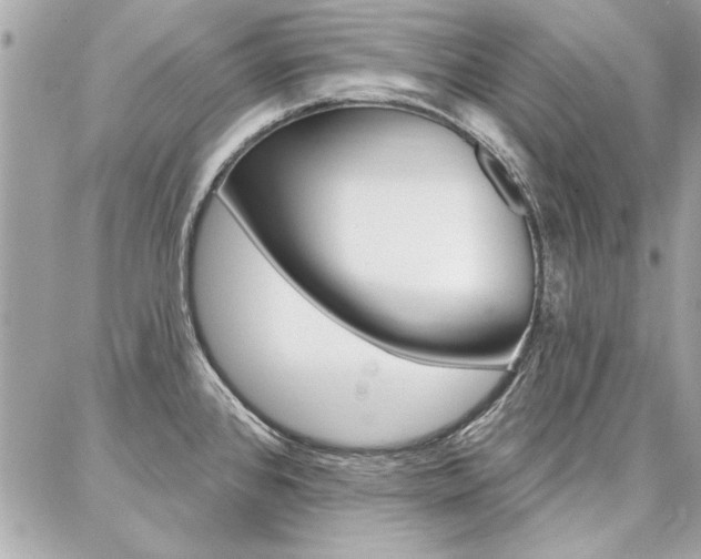 X0000087001384200704161214
