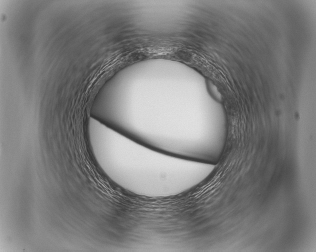 X0000087001393200704161213