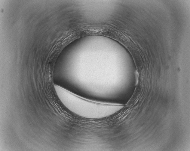 X0000087001394200704161213