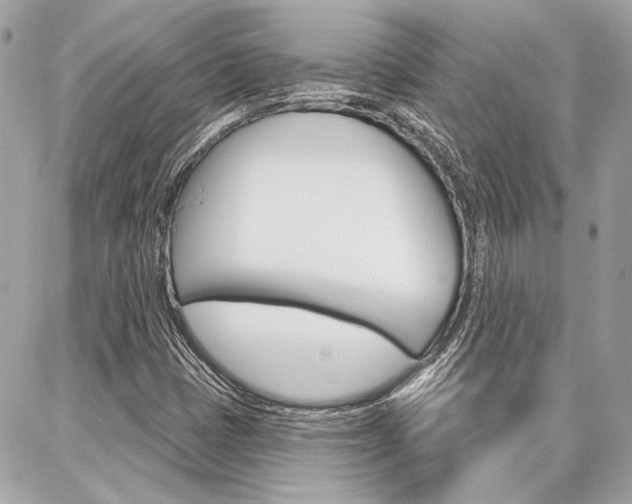 X0000087001401200704161213