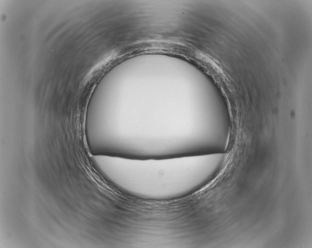 X0000087001403200704161213