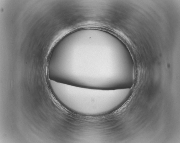 X0000087001413200704161213
