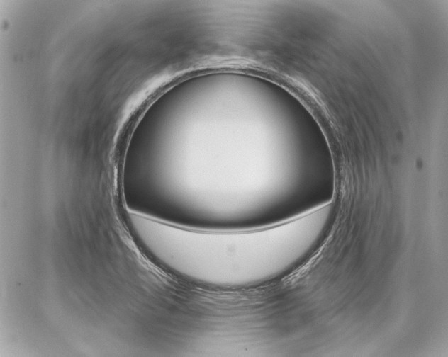X0000087001414200704161213
