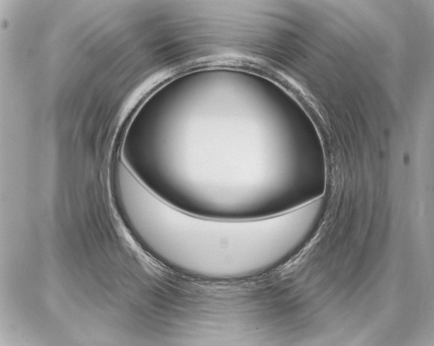 X0000087001418200704161213