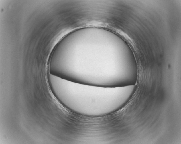 X0000087001423200704161213