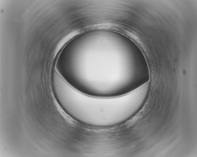 X0000087001426200704161214