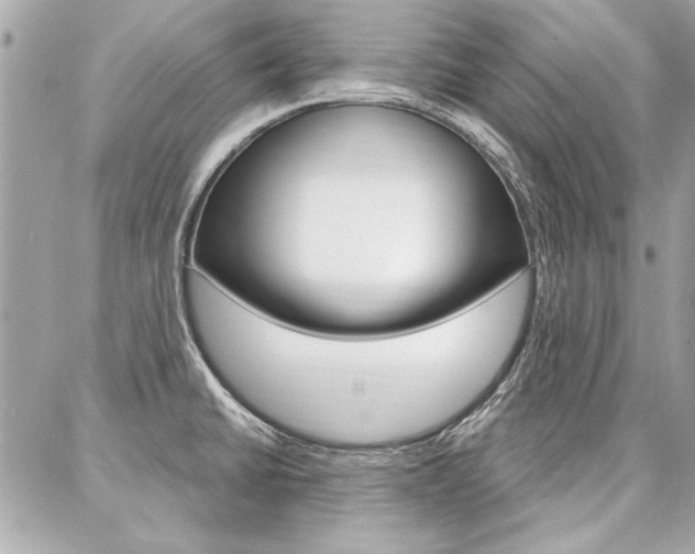 X0000087001430200704161214