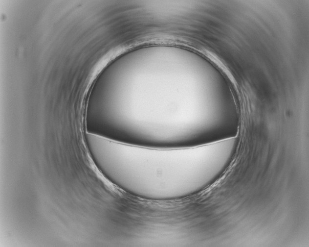 X0000087001437200704161214