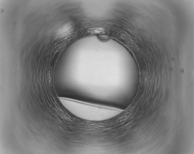 X0000087001442200704161213