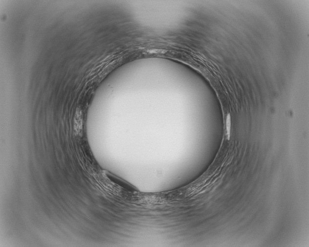 X0000087001443200704161213
