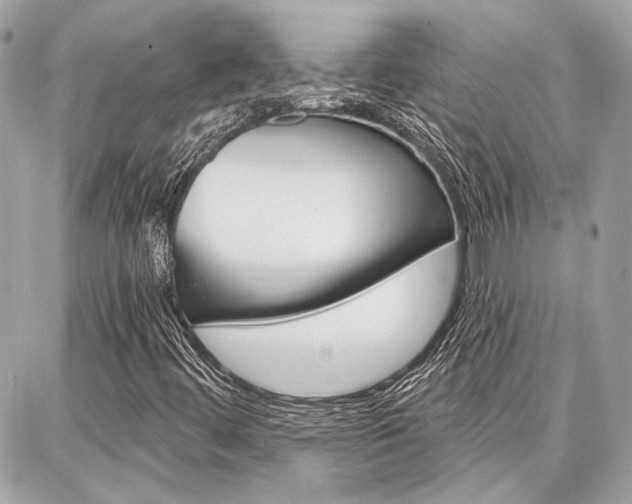 X0000087001444200704161213