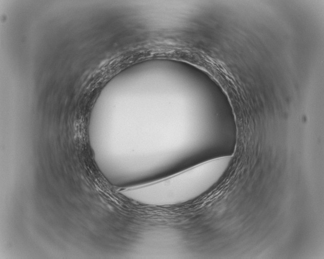 X0000087001445200704161213