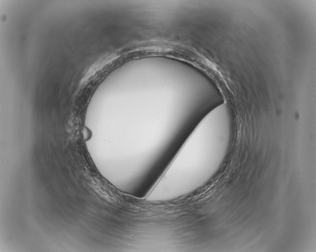 X0000087001448200704161213