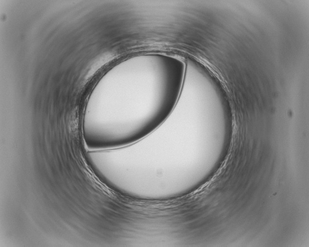 X0000087001450200704161213