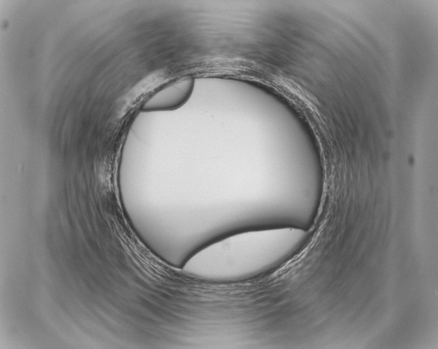 X0000087001451200704161213