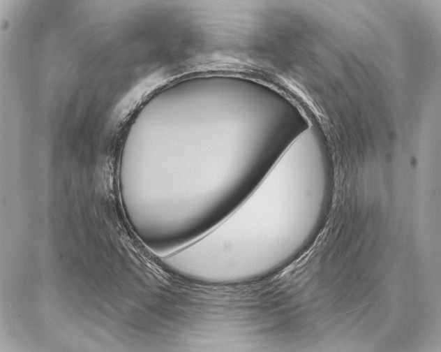 X0000087001455200704161213