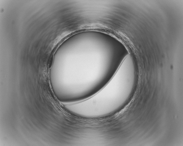 X0000087001457200704161213