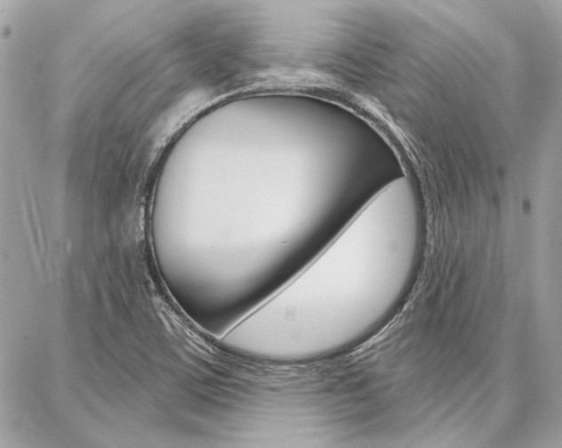 X0000087001459200704161213