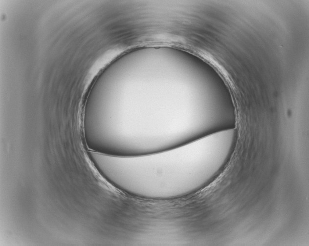 X0000087001477200704161212