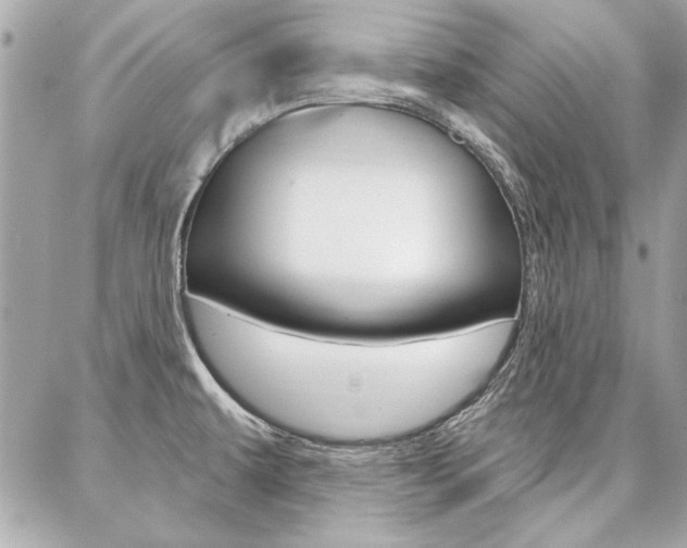 X0000087001479200704161212