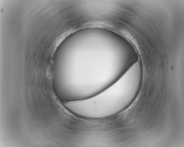 X0000087001481200704161212