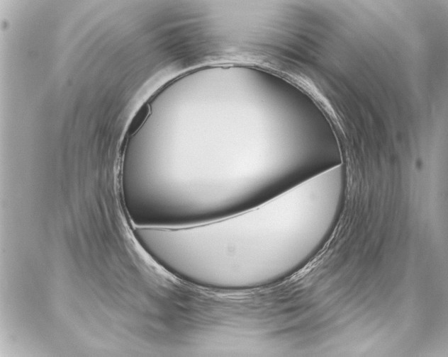 X0000087001484200704161212