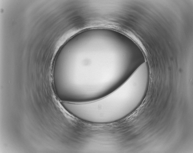 X0000087001485200704161212