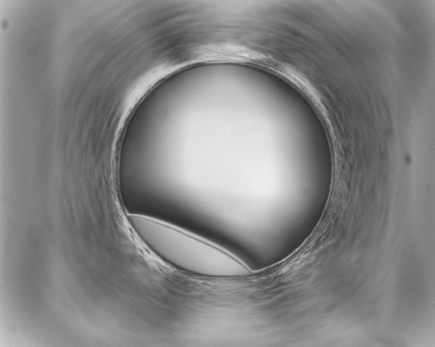 X0000087001488200704161212