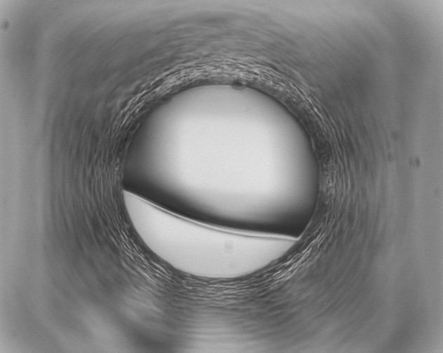 X0000087001490200704161211