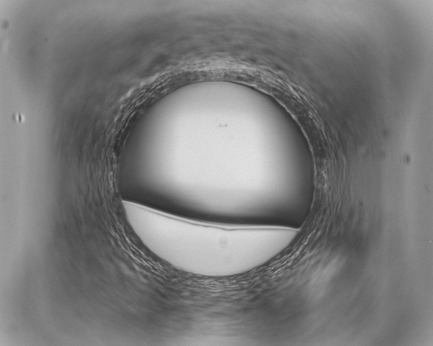 X0000087001493200704161211