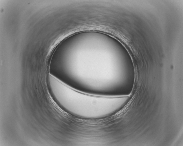 X0000087001500200704161212