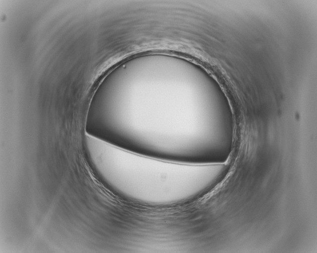 X0000087001505200704161212