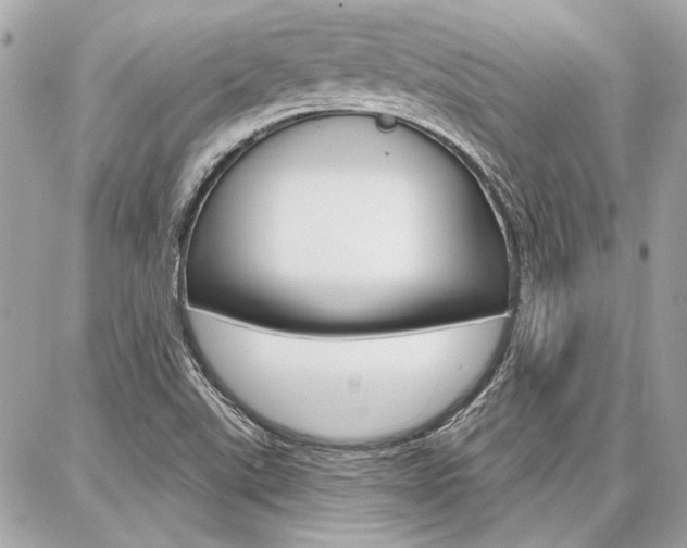 X0000087001507200704161212
