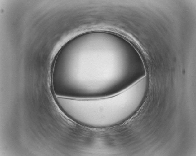X0000087001512200704161212