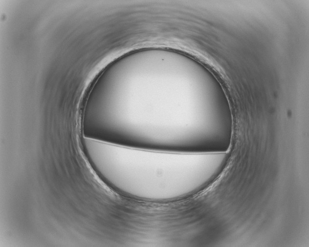 X0000087001517200704161212
