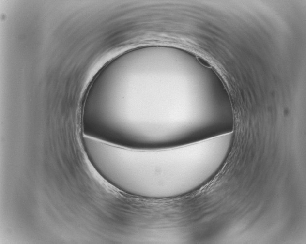 X0000087001531200704161212