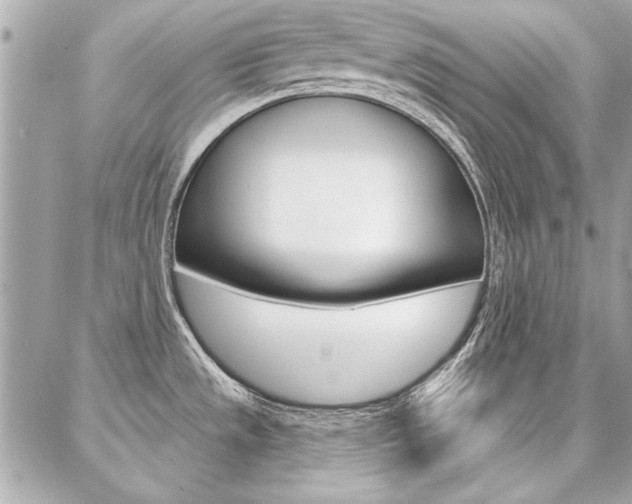 X0000087001533200704161212
