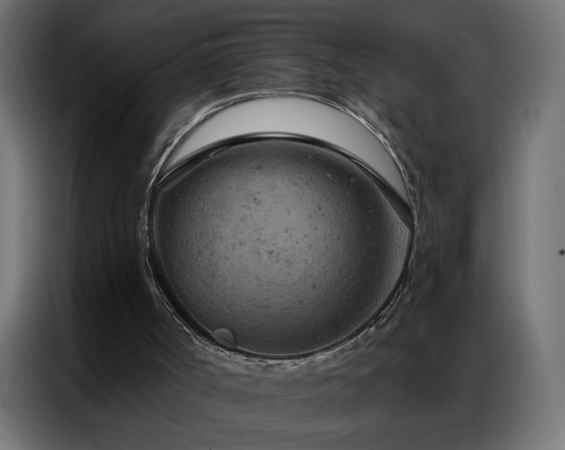 X0000087000002200704161532
